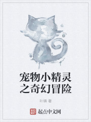 宠物小精灵之奇幻冒险